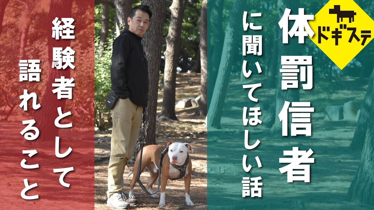 【体罰信者に聞いてほしい話】経験者として語れること ：DOGGY STATION/犬のしつけ・問題行動・犬の心理学・犬の行動学・ドッグビヘイビアリスト