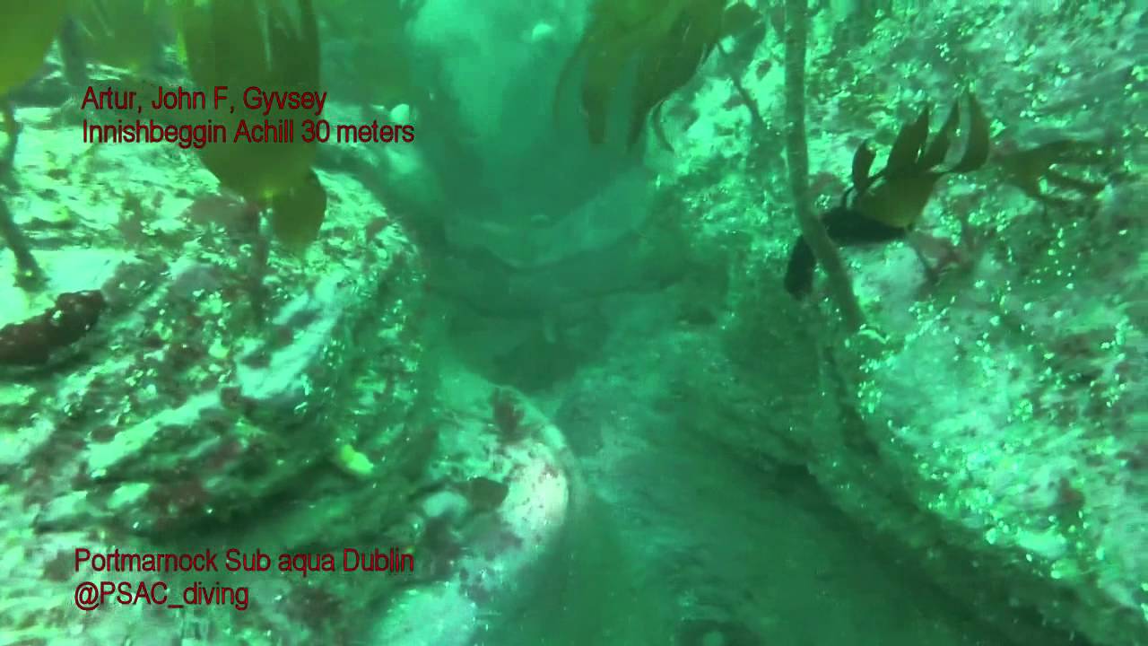 ️Diving Portmarnock Sub Aqua compilation