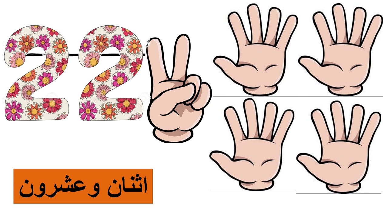 العدد 22