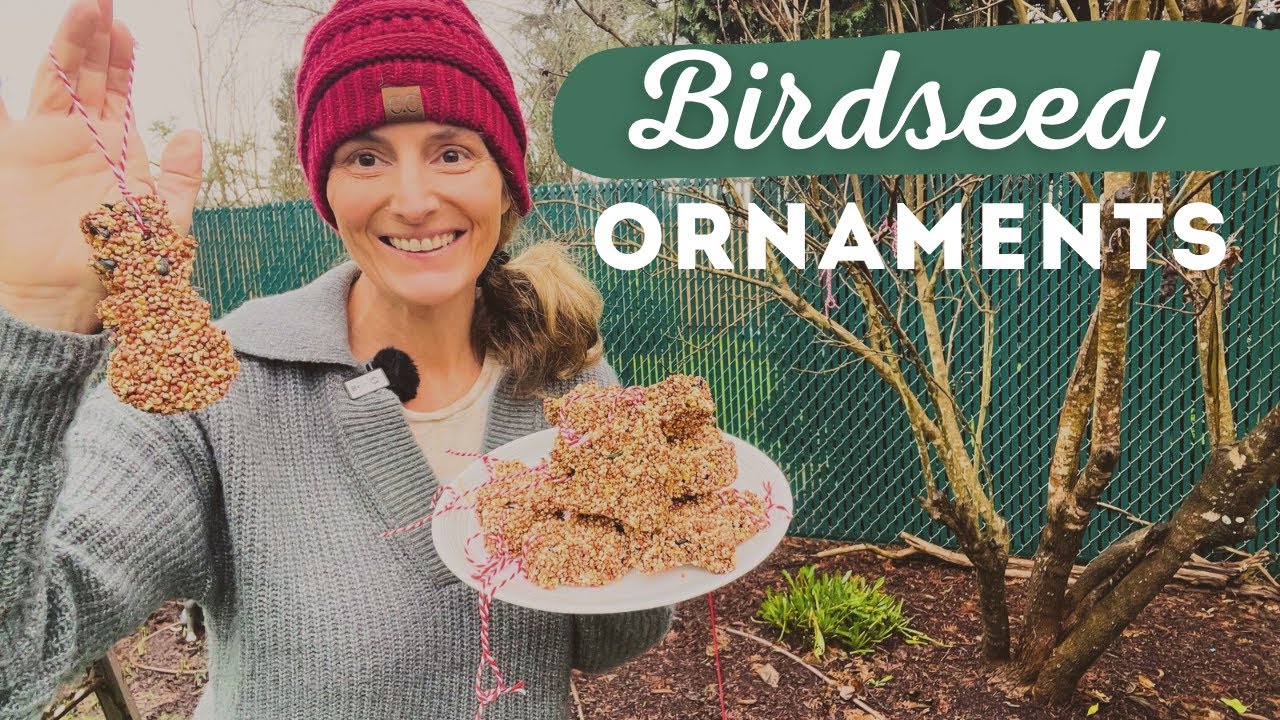 How to make birdseed ornaments 🦜 feeding wildlife in winter