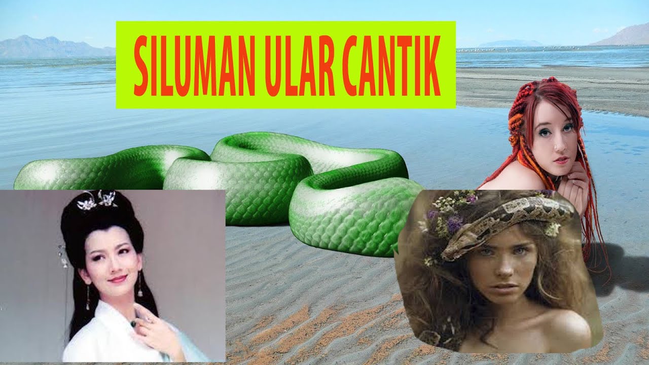 6 SILUMAN ULAR CANTIK BERASAL DARI SELURUH DUNIA