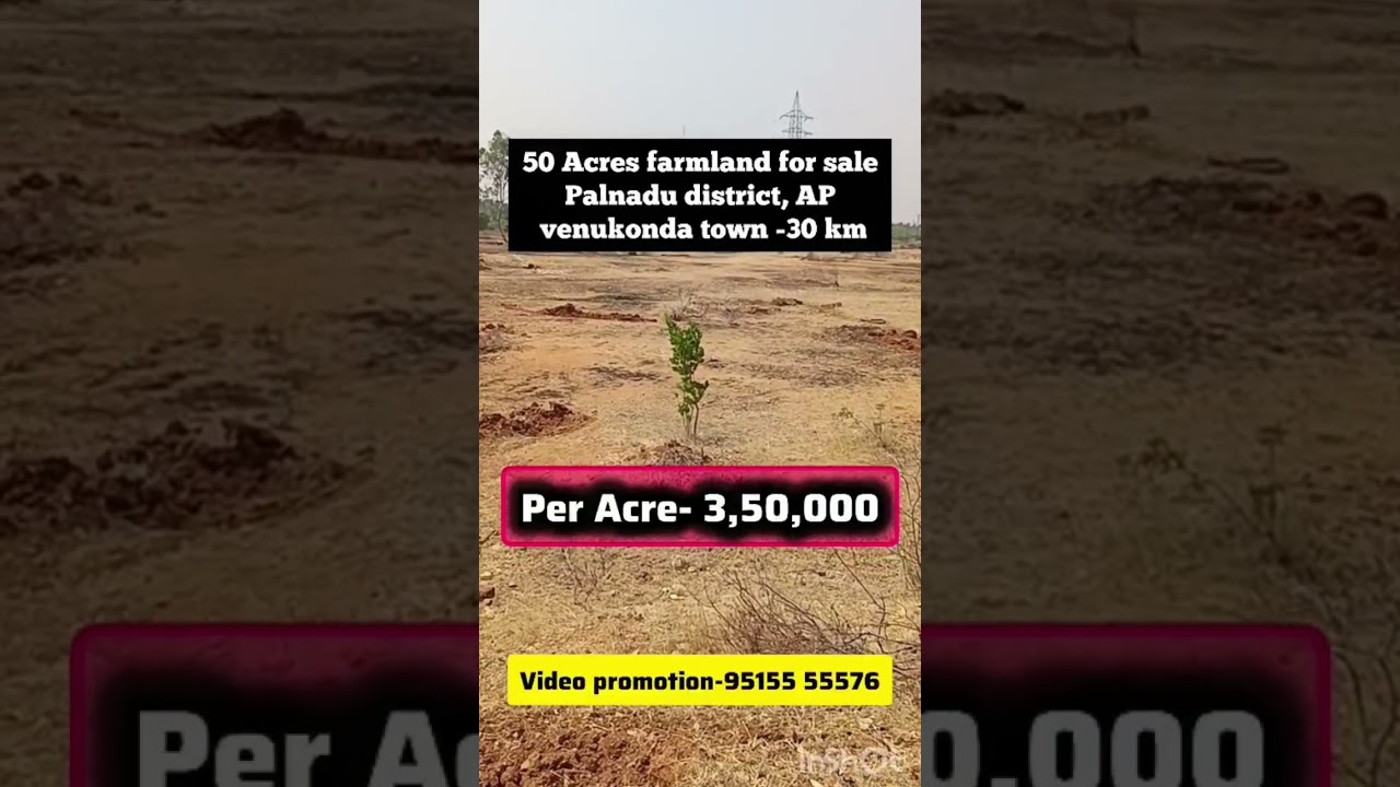 50 Acres Farmland for Sale || Near Vinukonda, Palnadu District, Andhra Pradesh