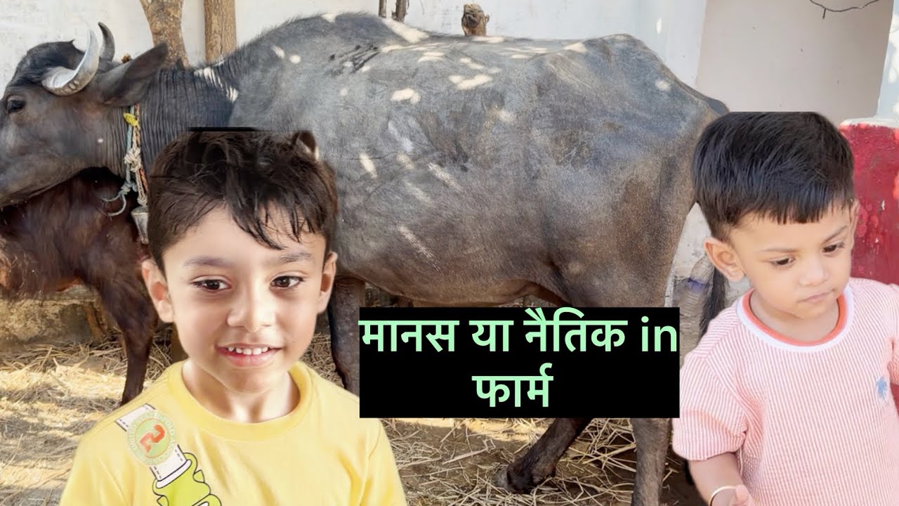 मानस or नैतिक पाहुचे फार्म || #farmanimals #manasandnaitikshow #kidsvlog 