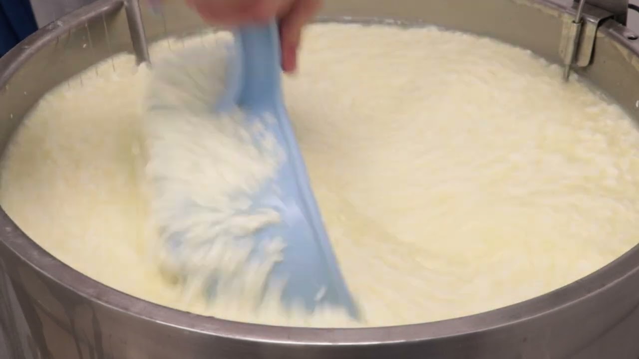 Fabrication de La Tomme - Institut Cacherout