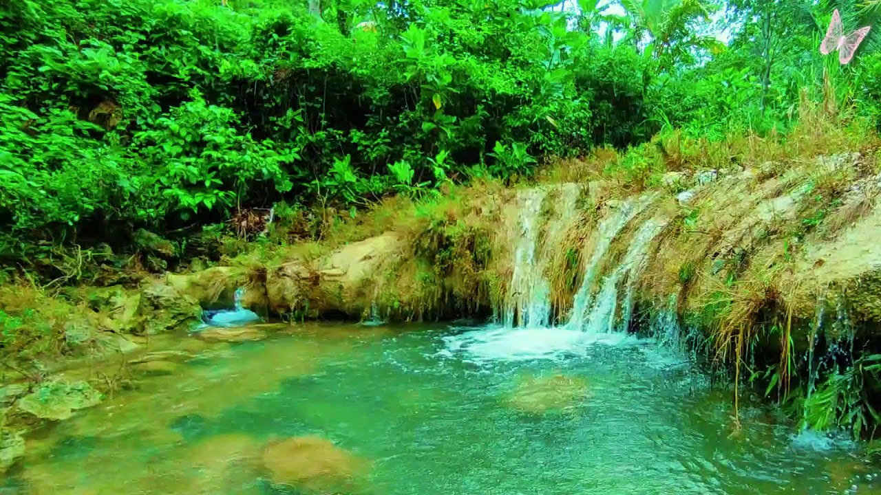 Stress Relief Music 🌿 Relaxing Sleep Music for Anxiety & Depression, Healing Calm Mind 4