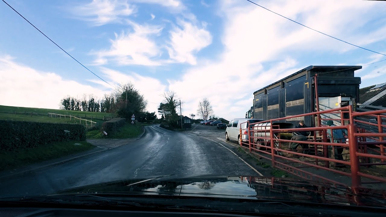 Lambs to Ruswarp December