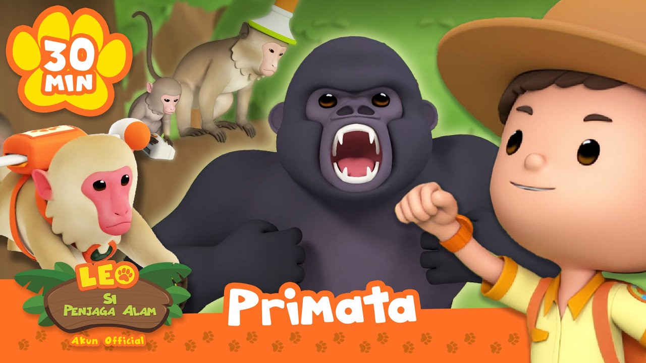 JELAJAHI HUTAN BERSAMA MONYET DAN GORILA! | Leo Si Penjaga Alam | Kartun Anak