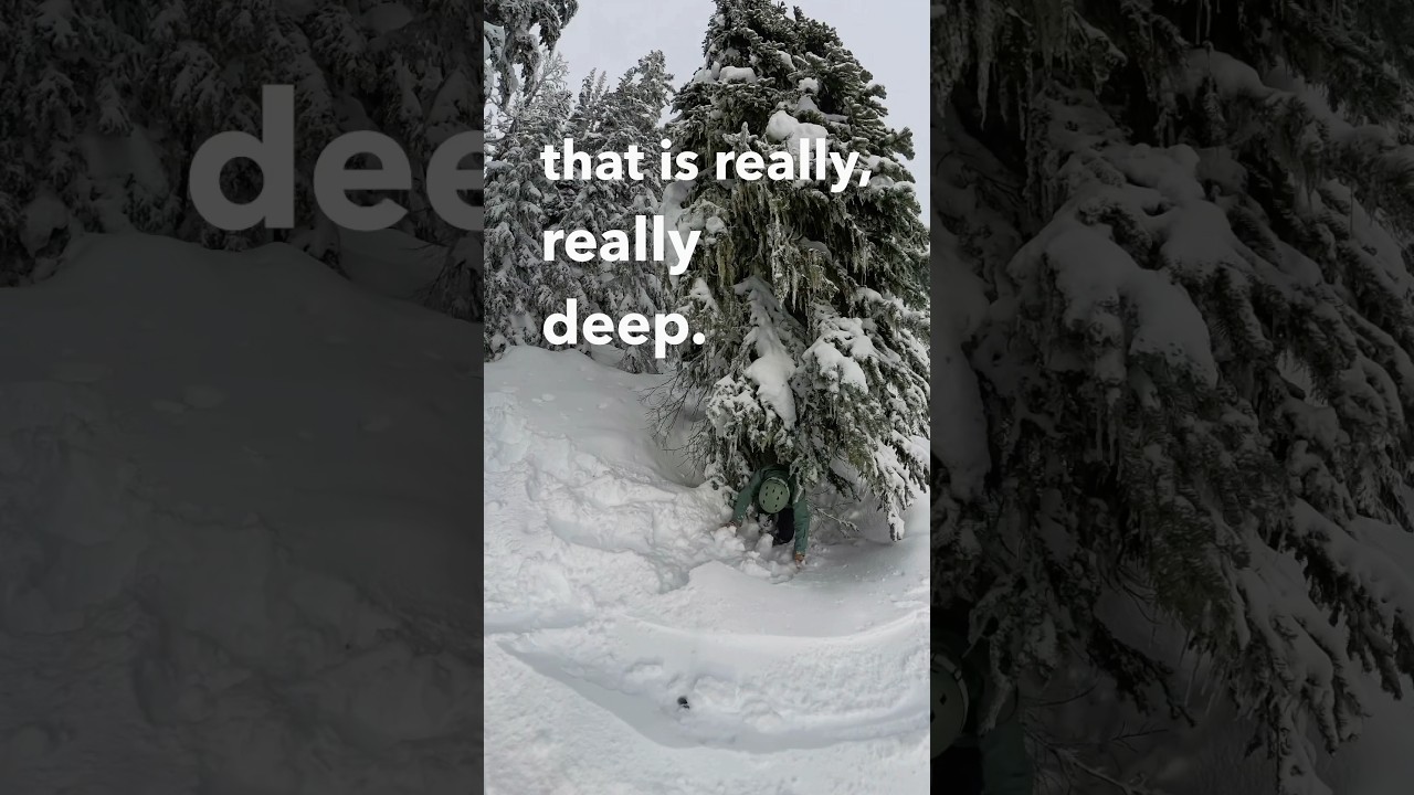 Tree Well hazards explained