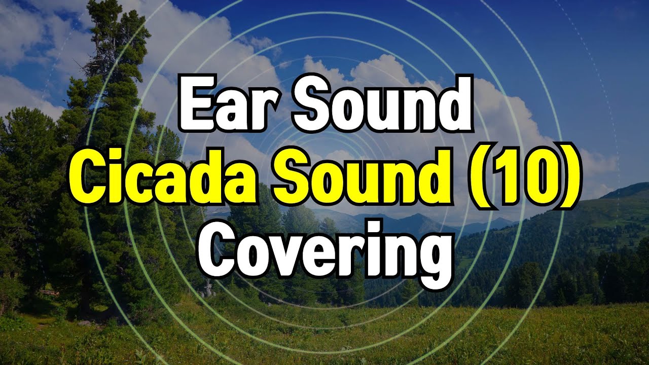 Cicada Sound 10 - High-Frequency Covering for Buzzing & Ringing Ear Sounds