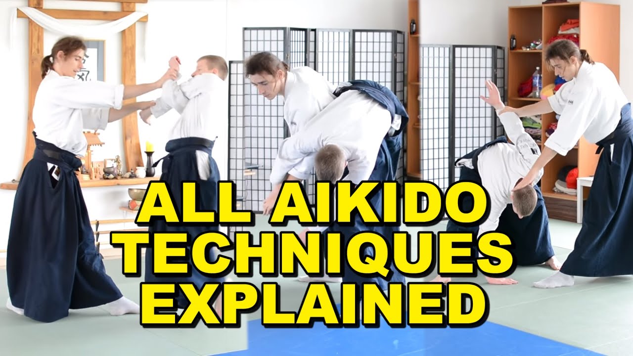 [Aikido Tutorial] All Techniques Introduced