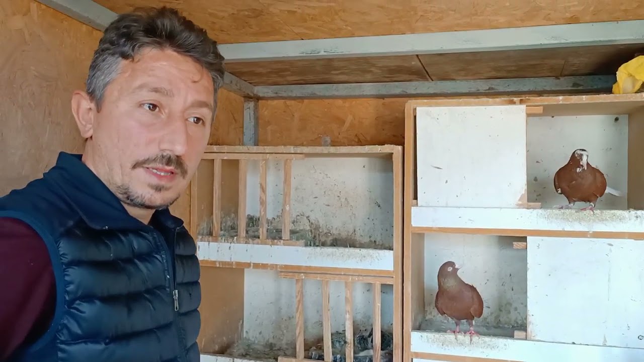KUŞ UÇURMAK İÇİN EVİMİ SATTIM KUAFÖR MEVLÜT GÜN KOSOVA & İSVEÇ DÖNEKLERİ !!!