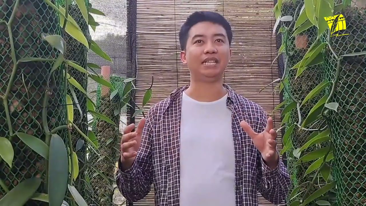 Leap of faith: Ex-OFW pioneers vanilla farming in Sarangani