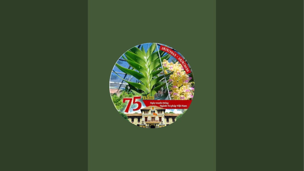 Chia sẻ Lan Rừng ||Shop Hoa Mua He, sđt (zalo) 0852.741.068||Tiktok: Hoalanrung, lanrungtaynguyen81