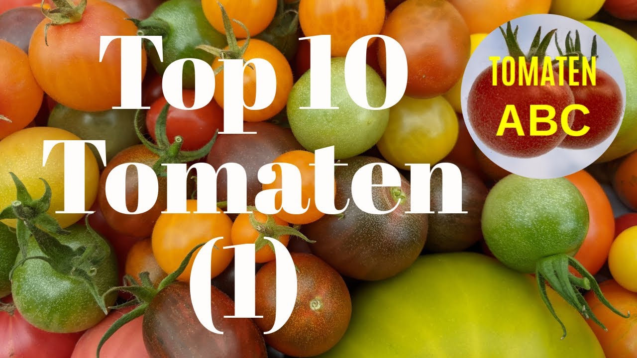 Top 10 Tomaten - die leckersten Tomaten weltweit (1)