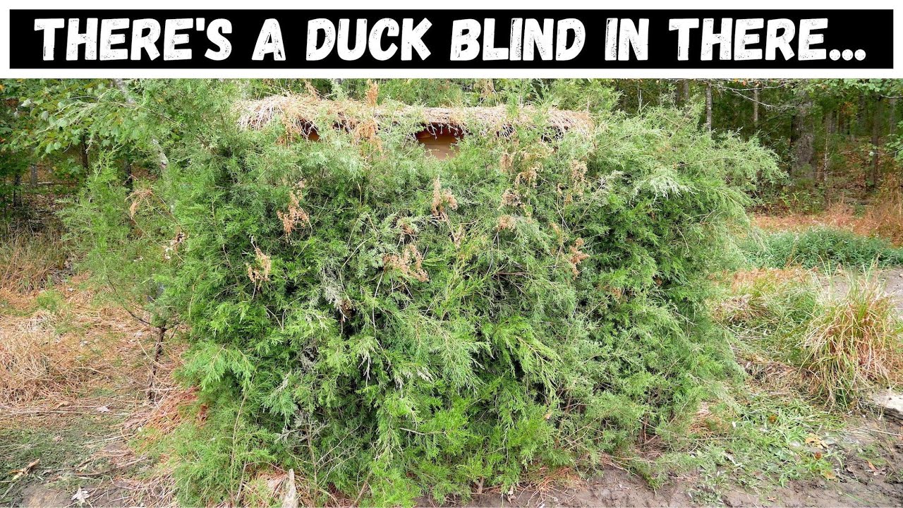 Building A Duck Blind | Part 2