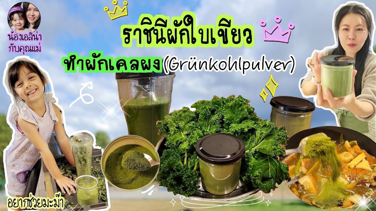 EP.184Grünkohl🥬ทำผักเคลผง #ราชินีผักใบเขียว #ผักเคล #kalepowder #grünkohlpulver ประโยชน์มากมาย🍃