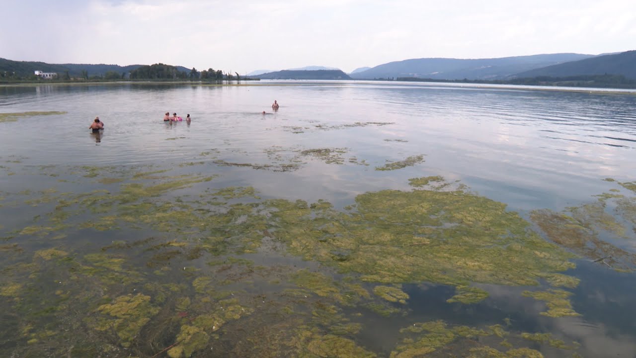 Nouvelle &icirc;le dans le lac de Bienne