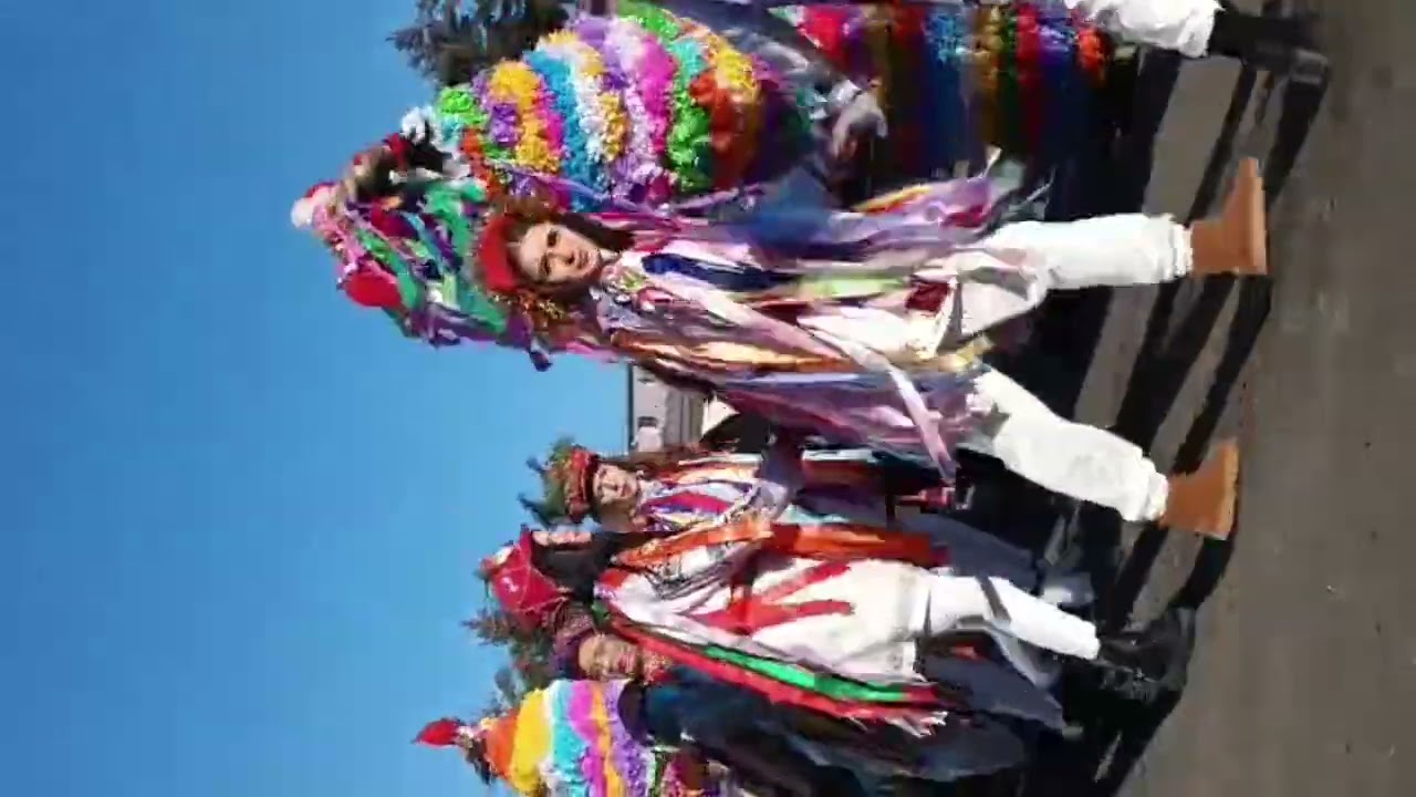 DATINI SI TRADITI TRANSMISE PESTE HOTARE