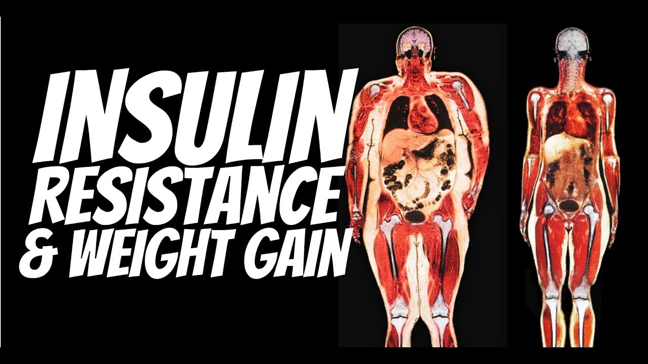 Insulin Resistance and Weight Gain | Gauge Girl Training