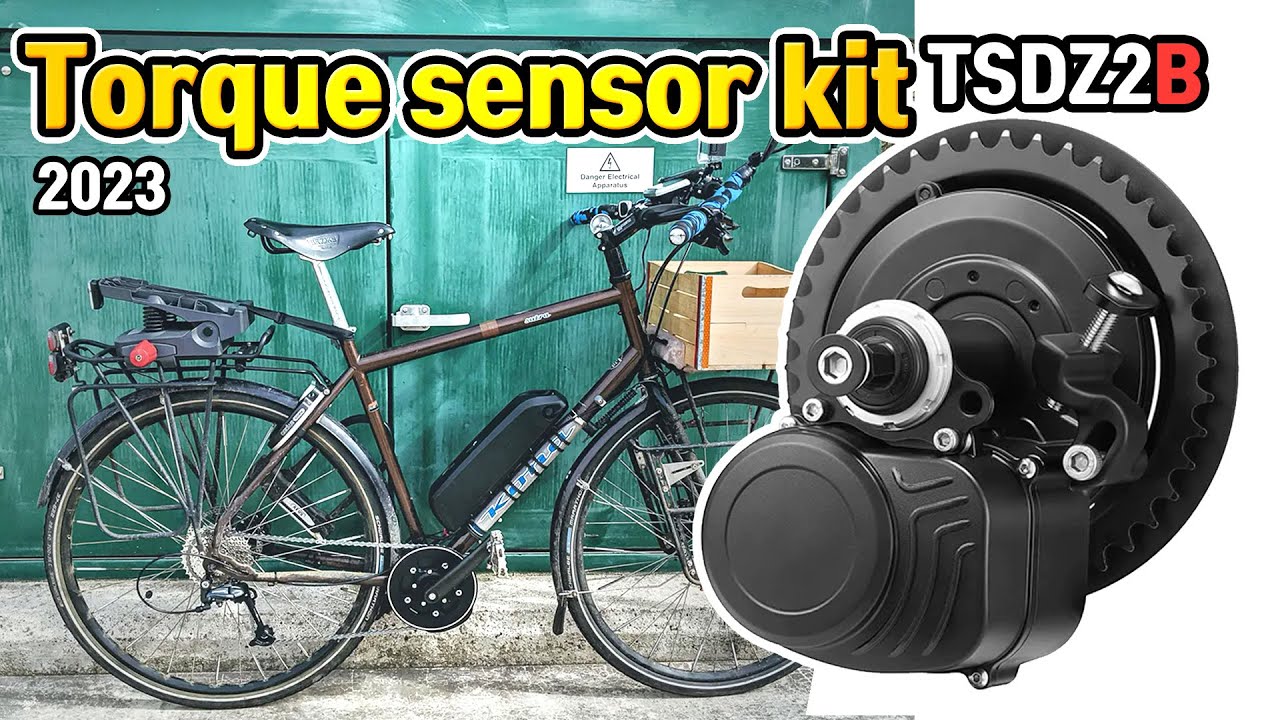 TSDZ2B New Cheap Electric Bike Torque Sensor Central Drive Motor Kit Tongsheng 2023 Reviews