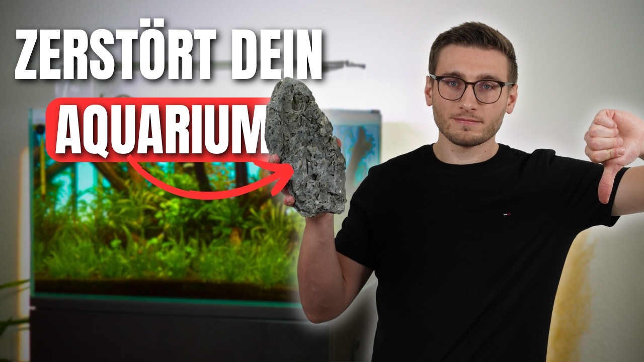 Steine im Aquarium: 5 Fehler, die fast jeder macht!