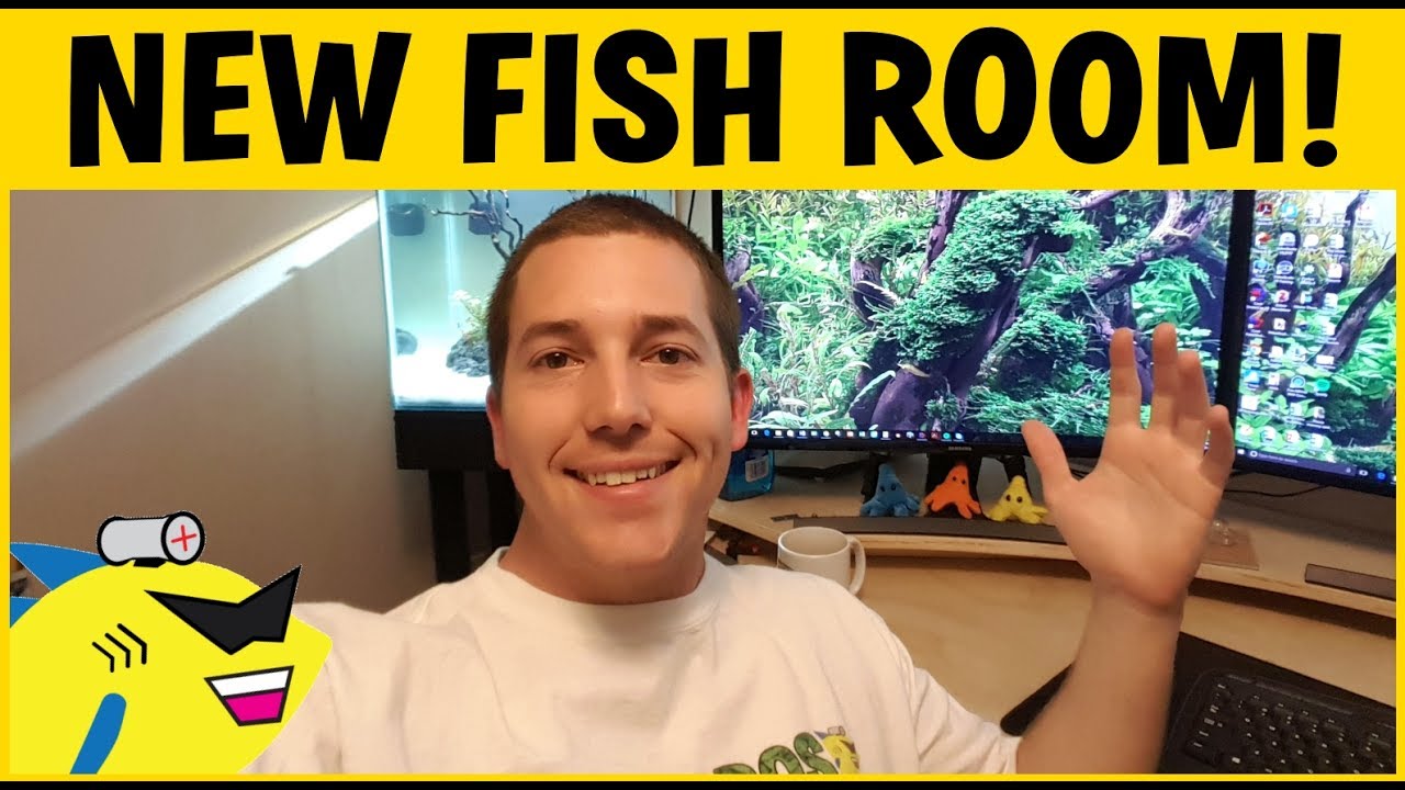 NEW FISH ROOM! AQUARIUM LAB 2.0
