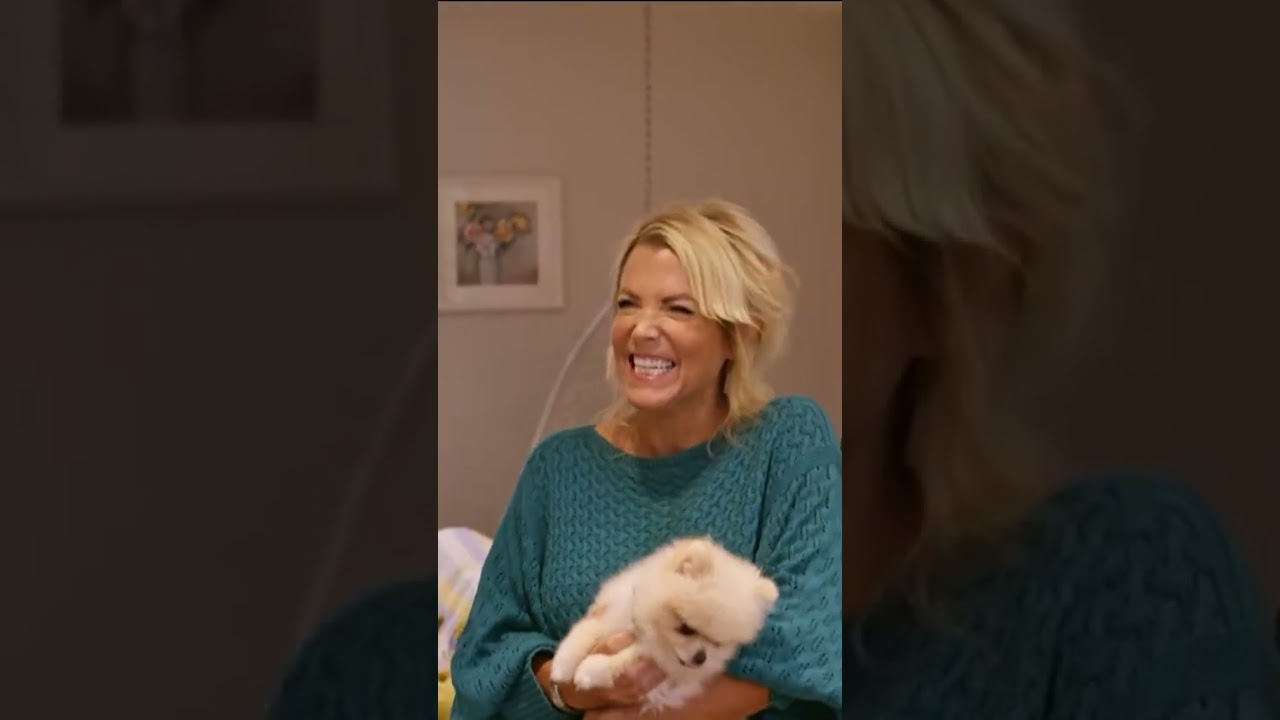 Самая избалованная собака в Британии?