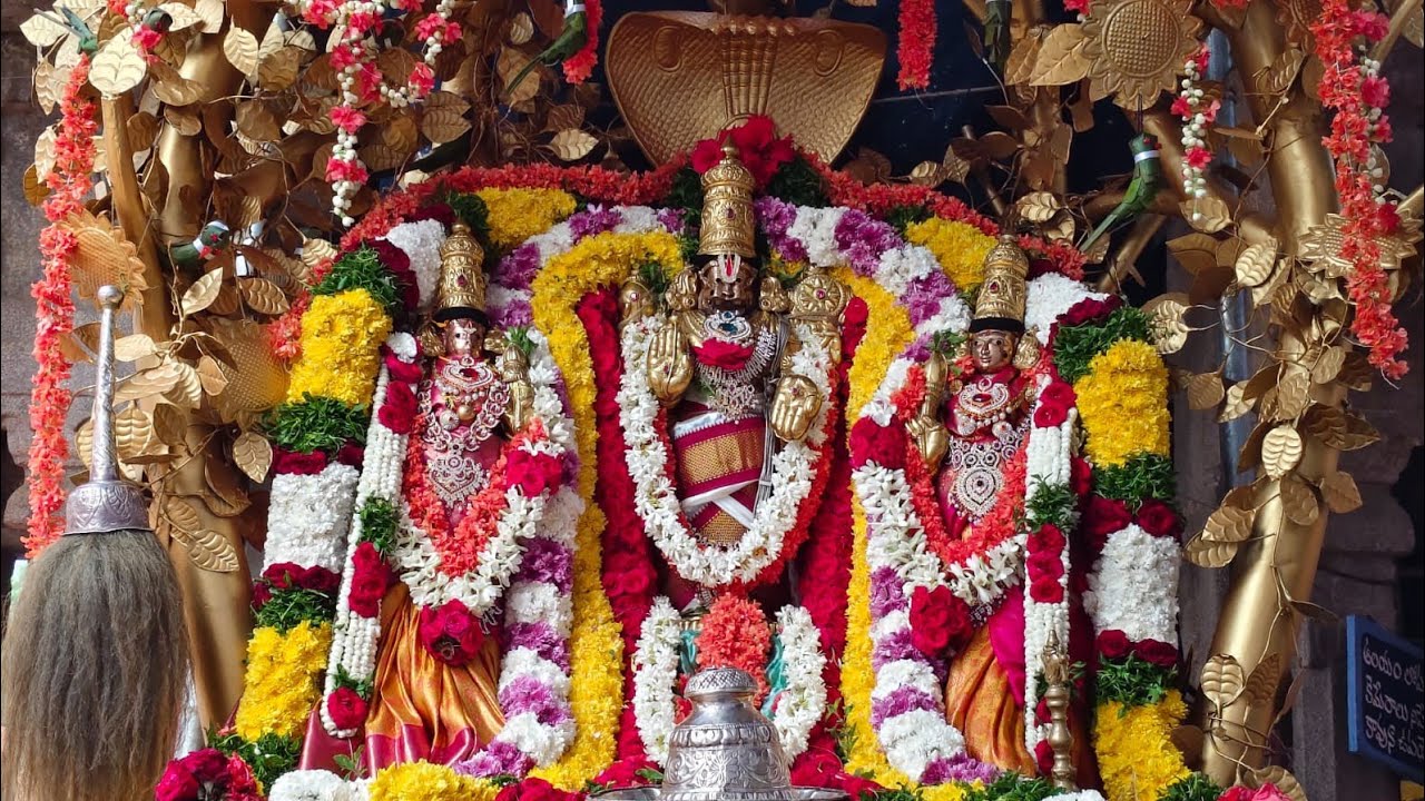 బ్రహ్మోత్సవాల్లో 8వ రోజు ఉదయం... కల్పవృక్ష వాహనంపై నారసింహుడి దర్శన భాగ్యం