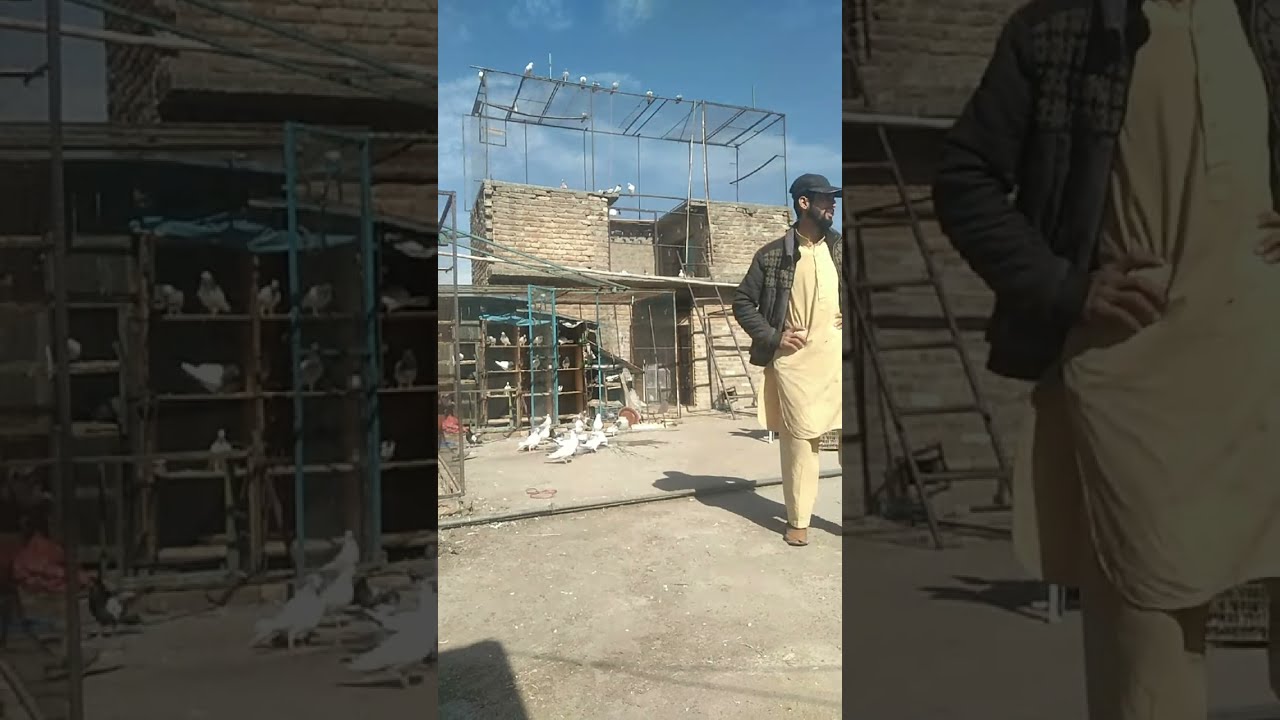 Dr. Kabootar Baaz  is live!