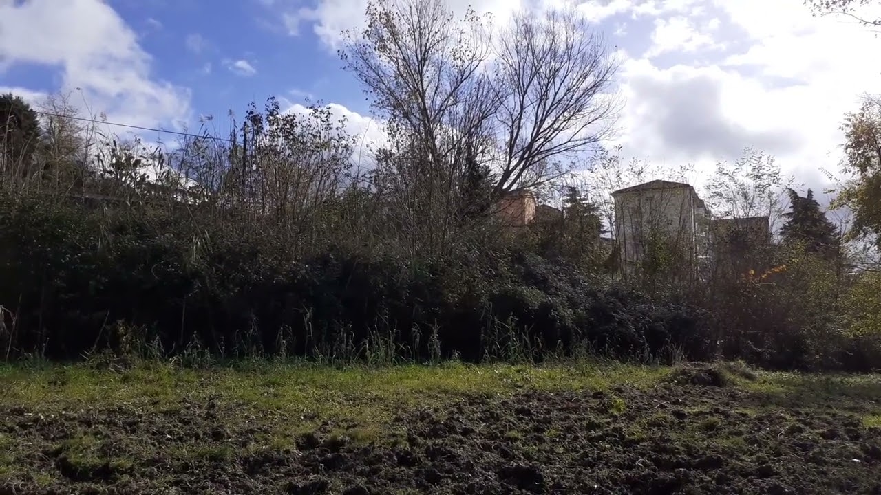 R 19886 a Potenza Superiore