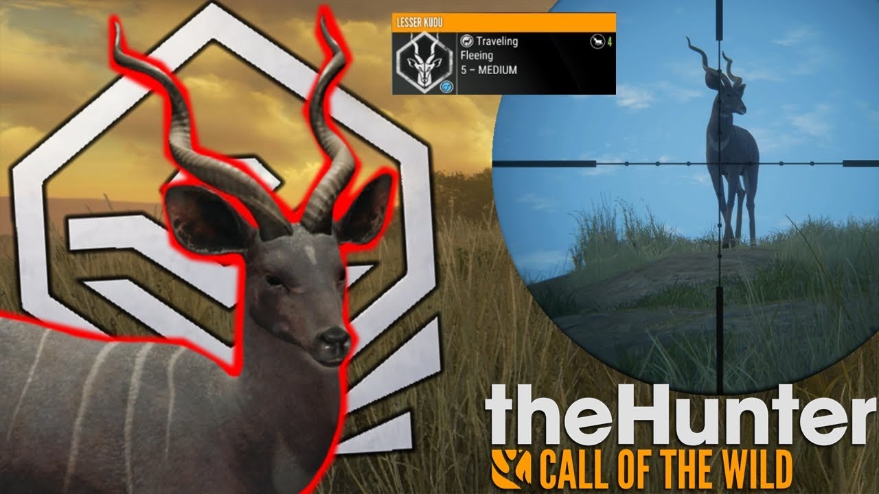 Grinding for the .338 + A Diamond Kudu! - theHunter Call of the Wild