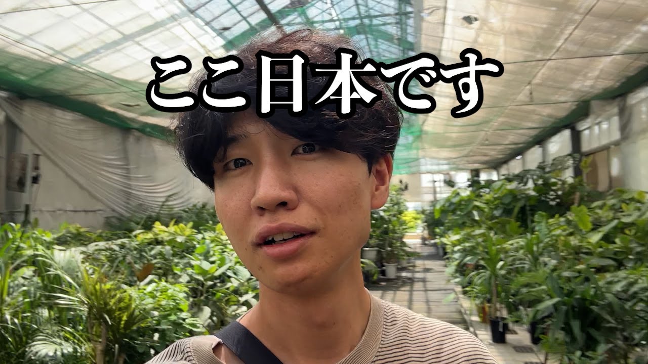 人生で初めて市場に行ってきました