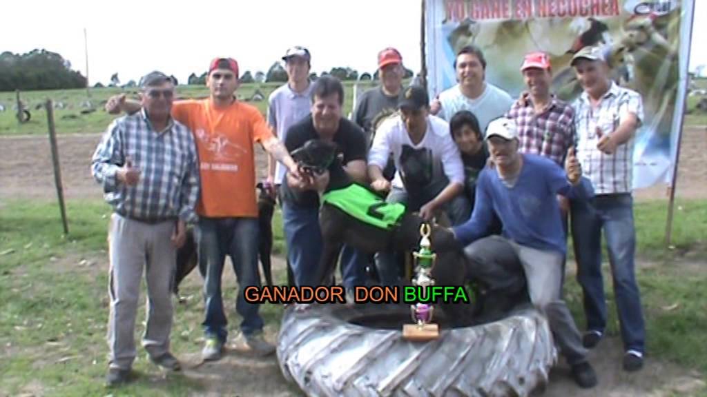Carrera del Don Buffa en Necochea