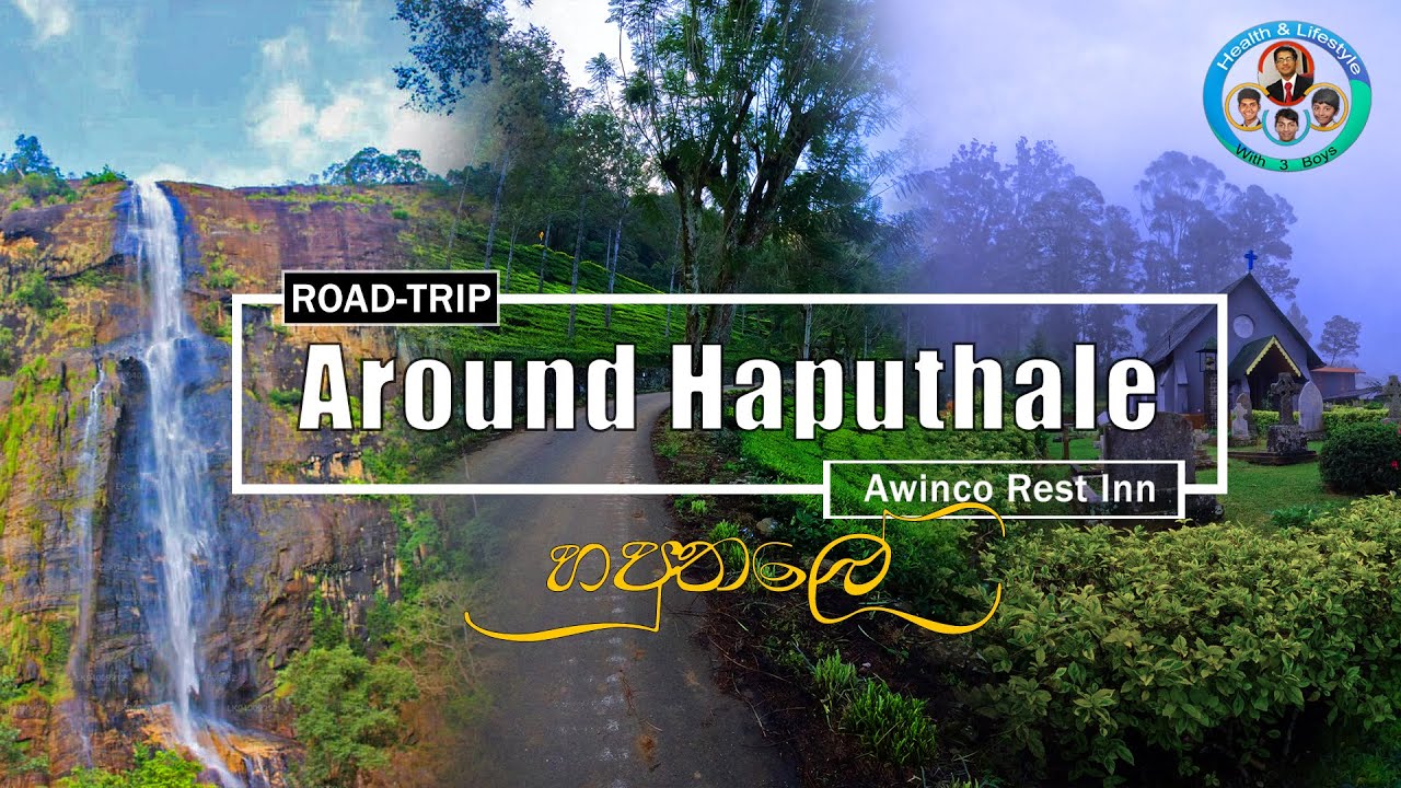 Road Trip To Haputhale - Part II | Diyaluma | Golden Hill Tea Center | Awinco Rest