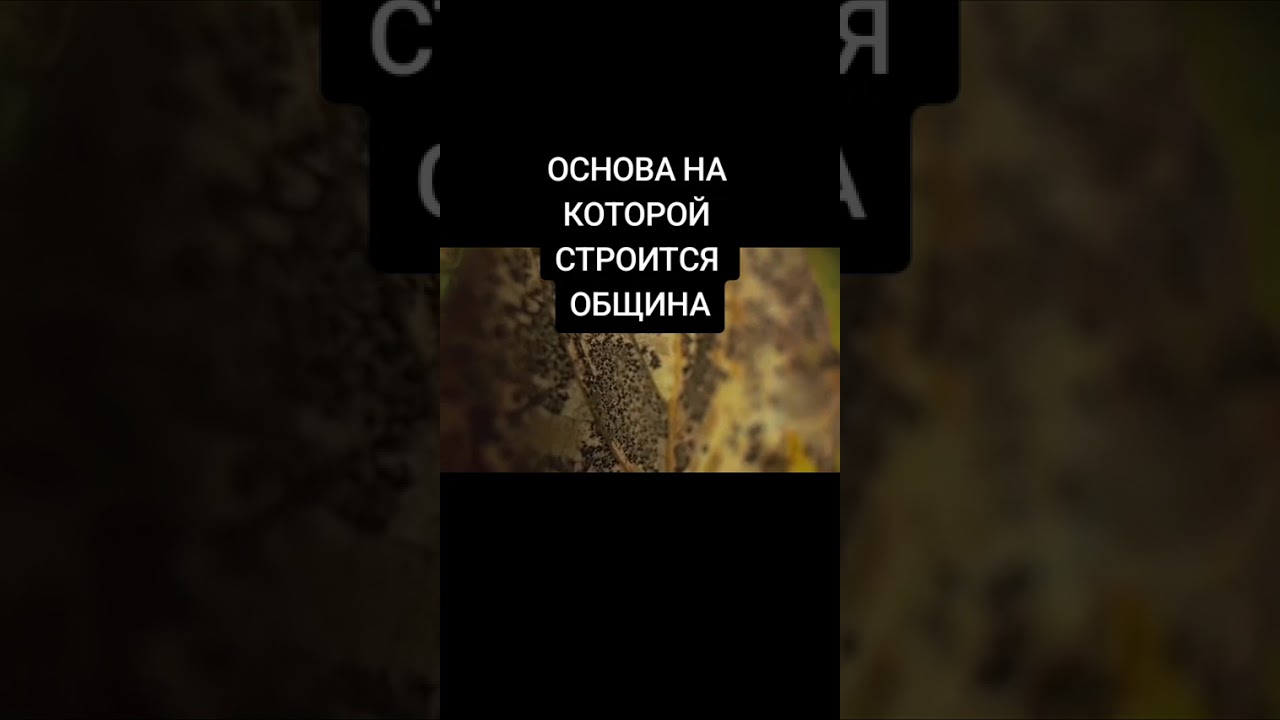 10 марта 2026 г.