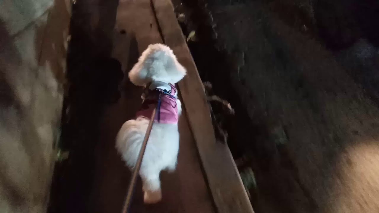 WALK AT NIGHT 