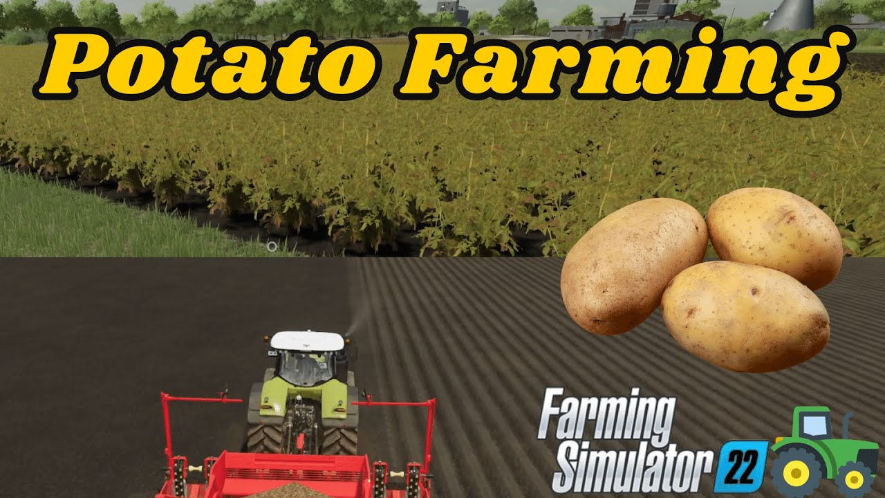 FS22 | Potato Guide Planting | Harvesting, and More | Farming Simulator 22