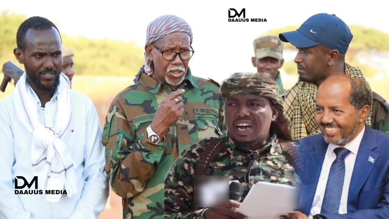DAAWO: Senator Shirwac