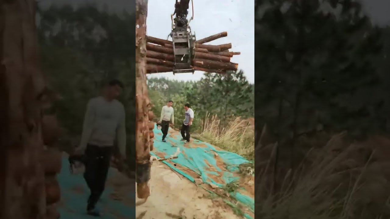 Operate the grab machine to load wood