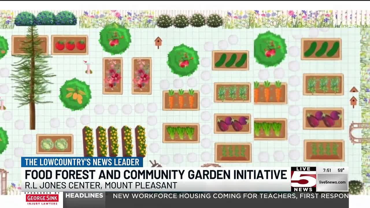 VIDEO: Future plans for a new Food Forest and Community Garden in Mount Pleasant