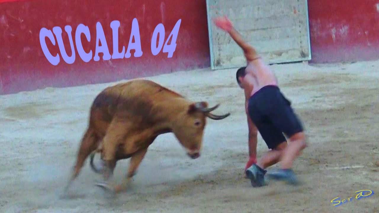 🟢2020 Alcala de Chisvert 04 ◾ INTEGRA Vacas Cerriles