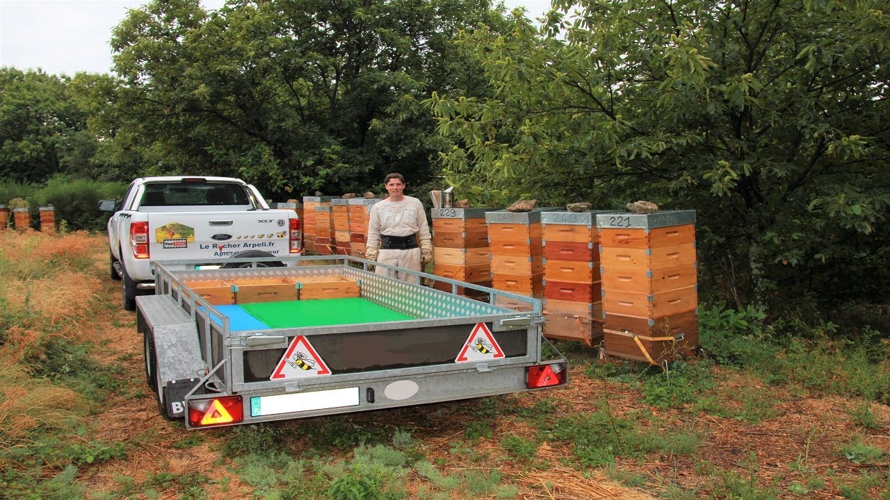 APICULTURE. E23 Une récolte orageuse | Parc Naturel Régional des Monts d'Ardèche