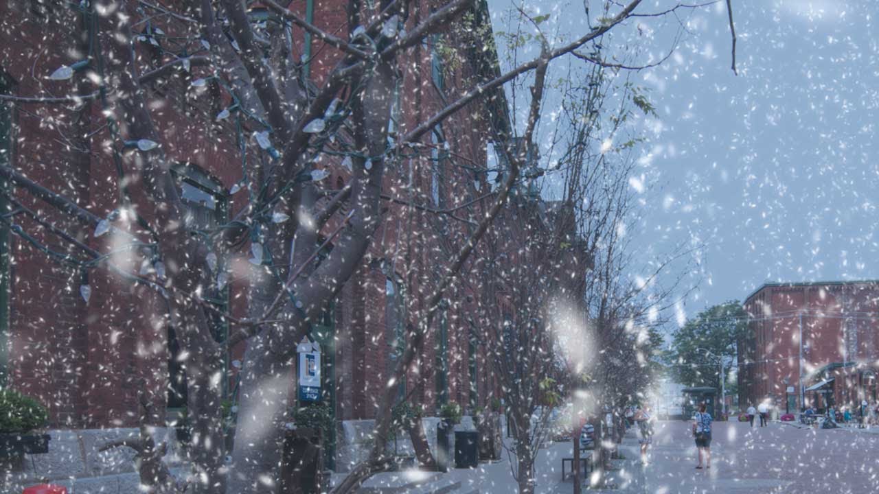 Photoshop Snow Brush |