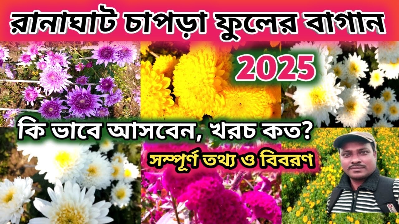 ranaghat chapra flower garden/khirai flower garden 2025-2026/chapra fuler bagan tour/flower valley
