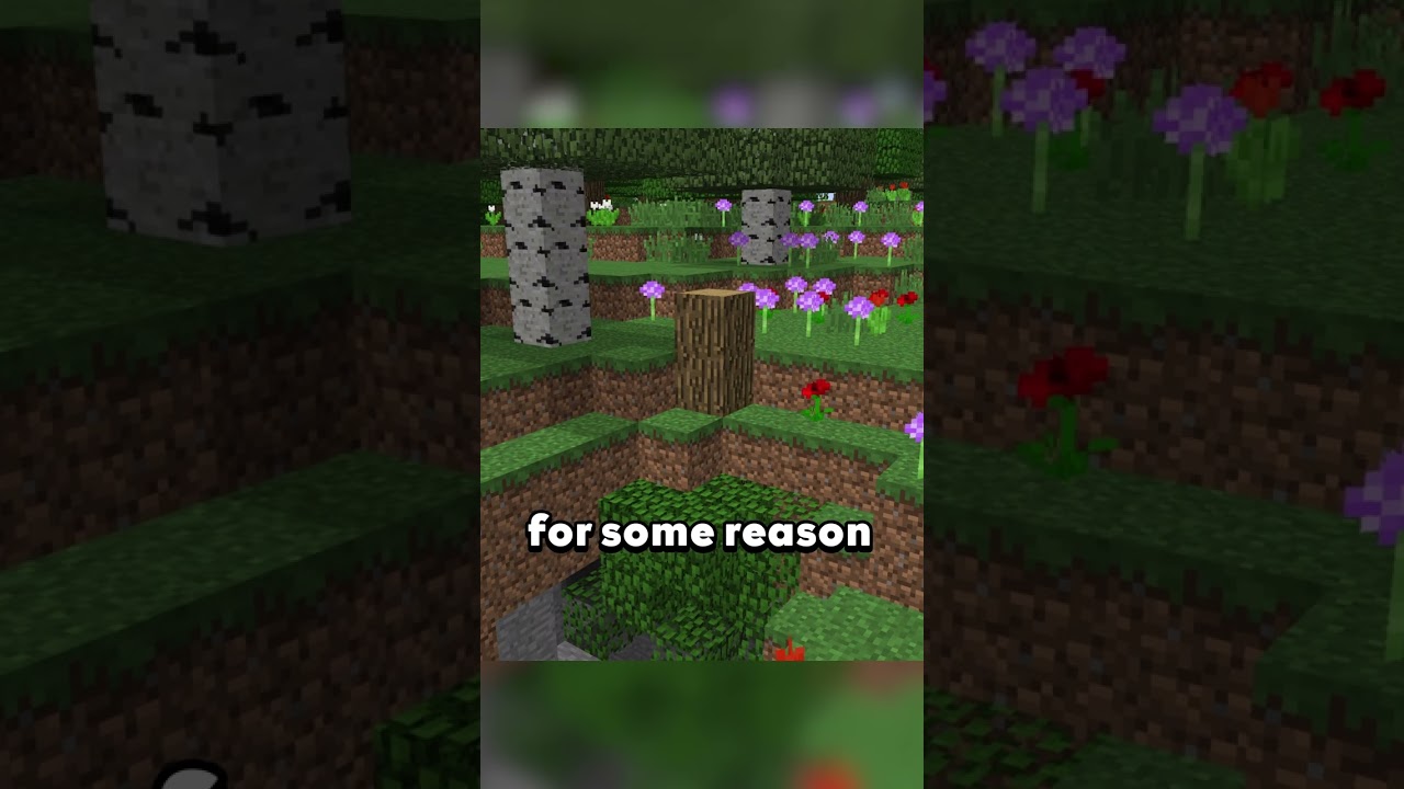 Upside-Down Trees in Minecraft? (Weird Terrain Generation Glitch!)