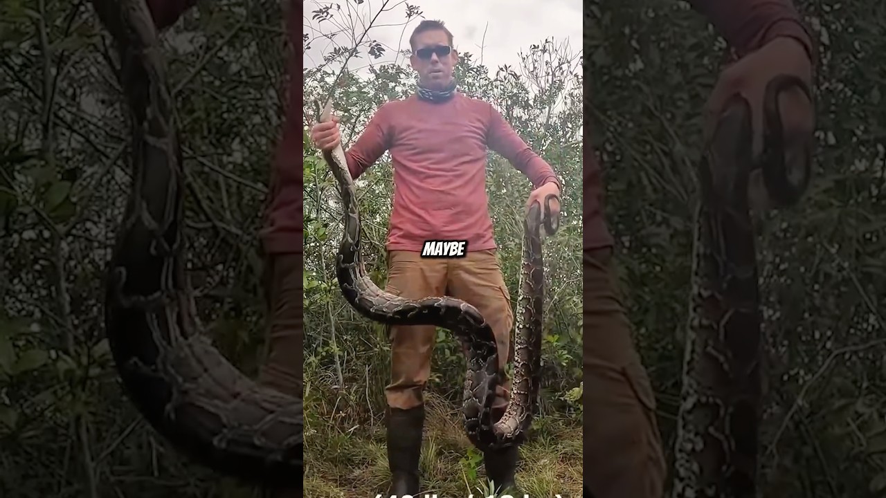 Hunting a GIANT Python on the World&rsquo;s Deadliest Snake Island