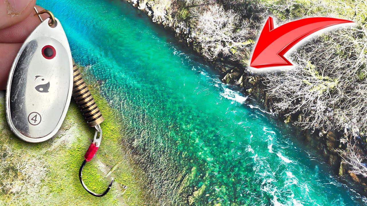 Pêcher la truite en grande rivière avec un guide : vais-je attraper ma première fario ?