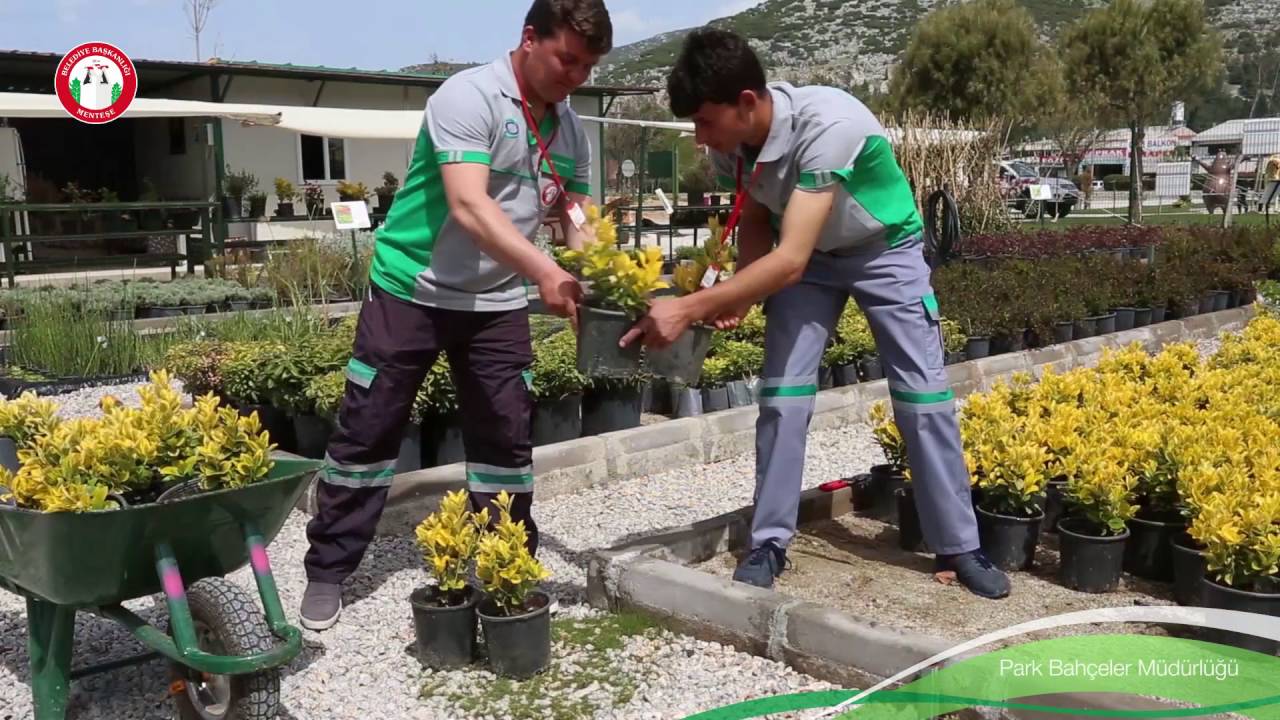 Menteşe Belediyesi Park ve Bah&ccedil;eler M&uuml;d&uuml;rl&uuml;ğ&uuml;