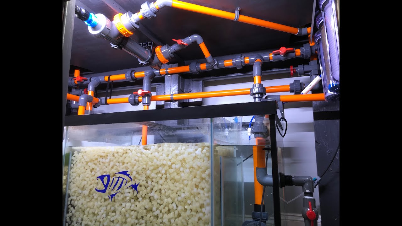 300 Cichlid Sump Revamped! Powerhouse!