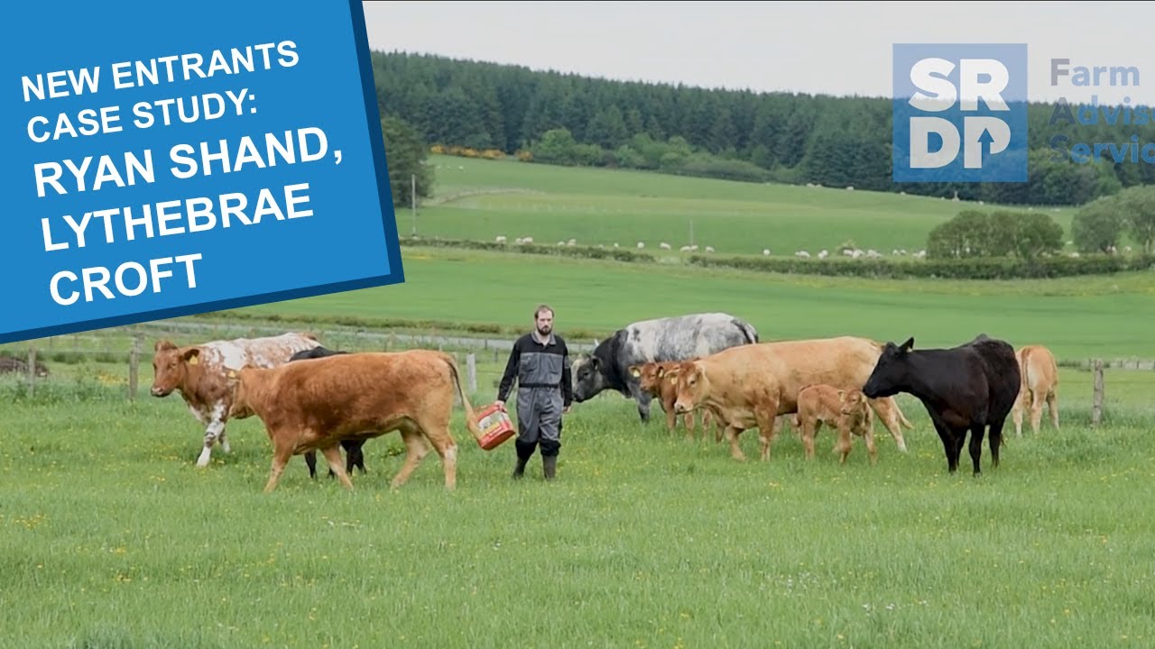 New Entrants case study - Ryan Shand, Lythebrae Croft